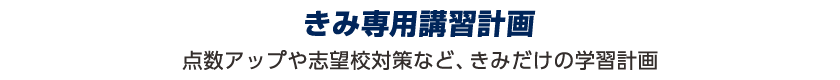 きみ専用講習計画:点数アップや志望校対策など、きみだけの学習計画。
